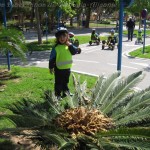 VIRGEN DEL ROSARIO - Parque infantil de tráfico 127